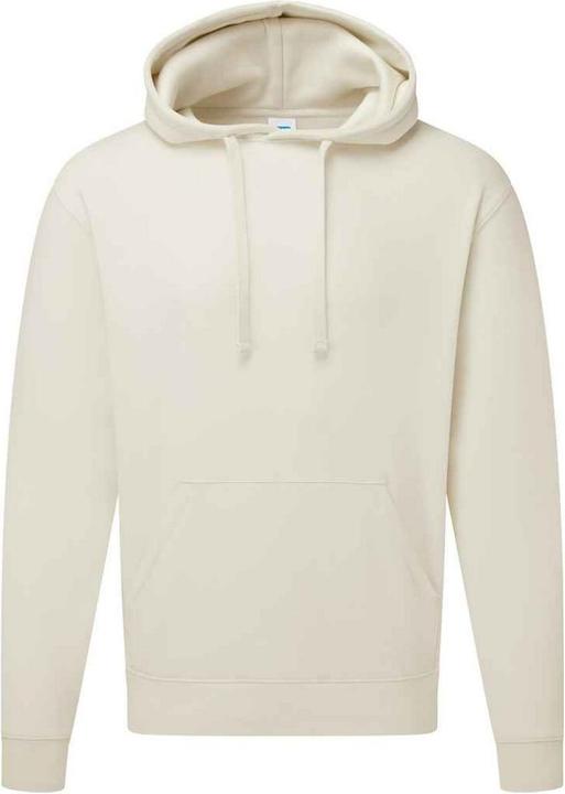 Image du produit Russell - Sweat à capuche AUTHENTIC - Homme (L)