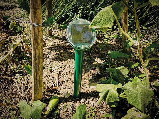 Produktbild Super Cat Solar-Maulwurf & Wühlmaus -Vertreiber SUPERCAT