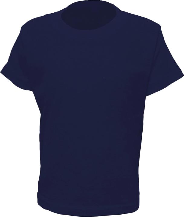 Actual product image Universal Textiles Casual Classic Tee (104)