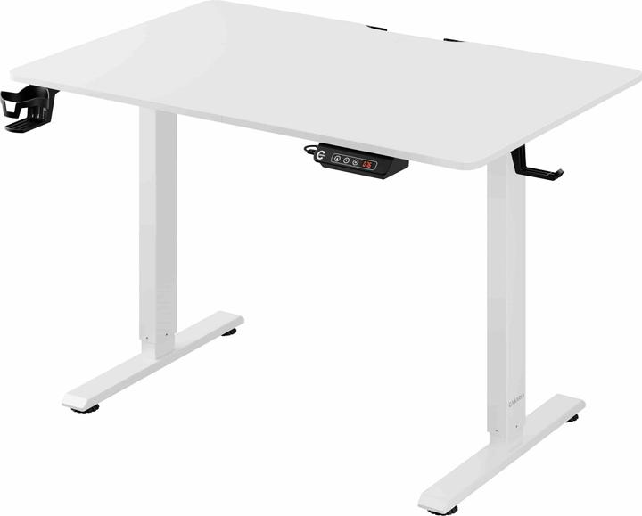 Casaria Desk with adjustable height (110 x 60 x 118 cm)