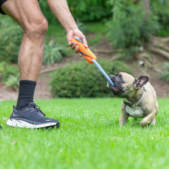 Image du produit Chuckit! ! Ultra Bumper Tug (Jouet à lancer chien)