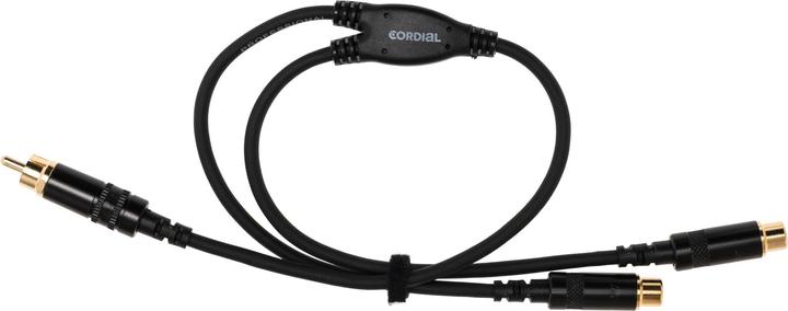Actual product image Cordial CFY 0.3 CEE - Y-adapter cable / Cinch splitter (0.30 m, Cinch)