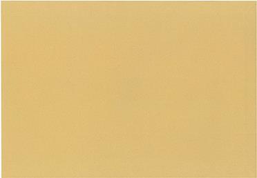 Immagine prodotto Neutralware Tasca pieghevole DIN E4 senza finestra 150g/m² con adesivo natron marrone 250 pezzi/confezione. (250 x)
