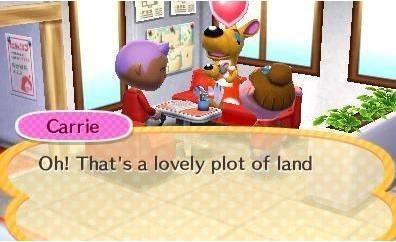 Image du produit Nintendo Cartes amiibo Animal Crossing (Wii U, 3DS, 3DS XL)