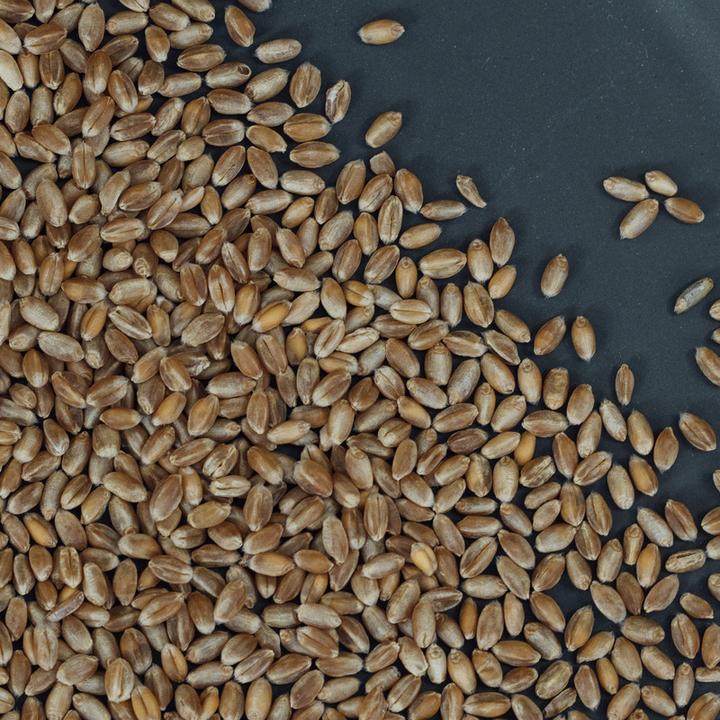 Produktbild Altbachmühle Bio Weizen ganz (1000 g)