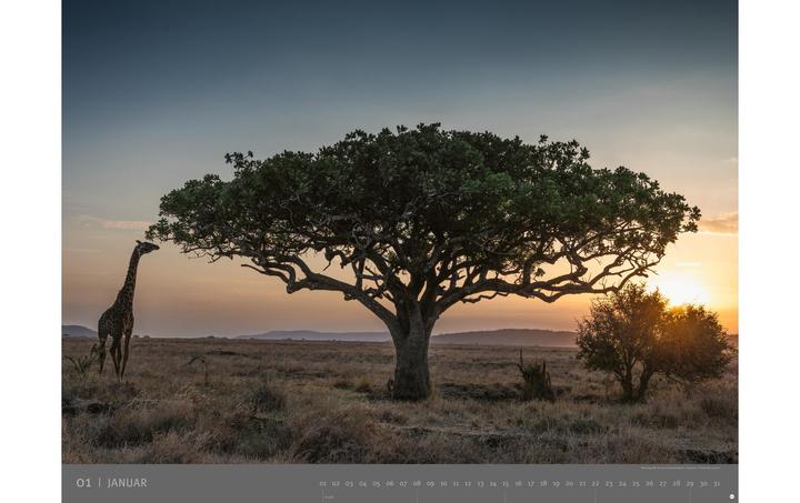 Produktbild Heye Kalender Afrika 2023 (78 x 58 cm, Deutsch)