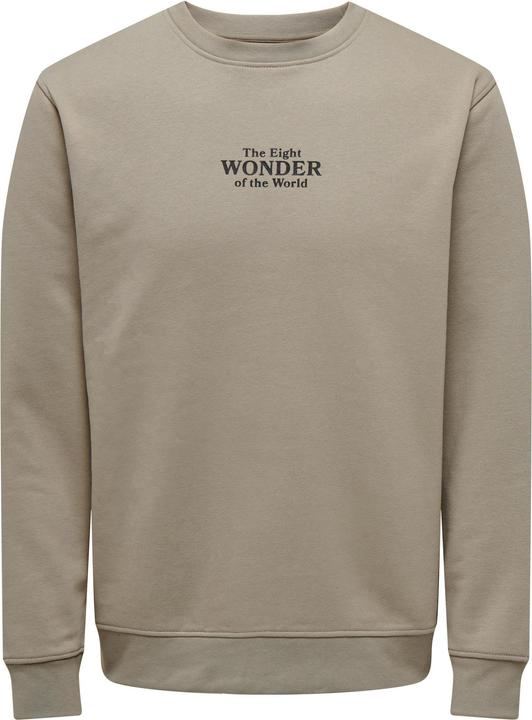 Image du produit Only & Sons ONSCELEBRITY REG CREW NECK SWT Sweat-shirt - 562138 (S)