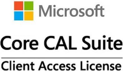 Microsoft MS Liz CoreCAL User CAL,YR1,1TZ (1 User, 12 months)