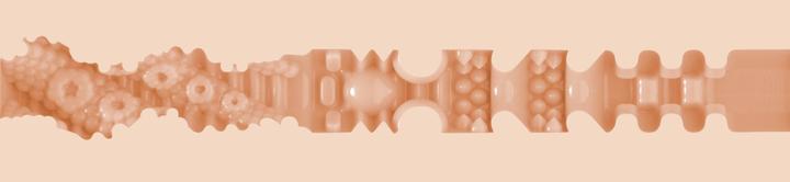 Immagine prodotto Fleshlight Ragazze - Mia Malkova LVL UP