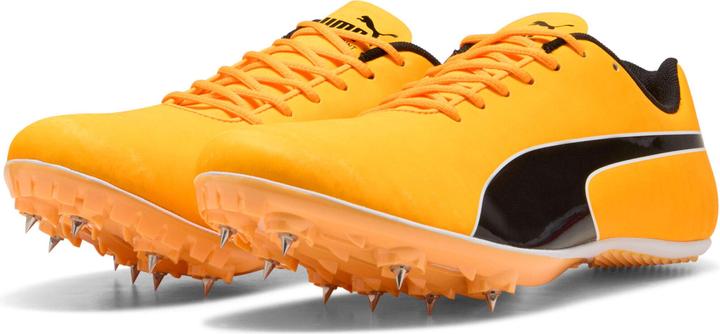 Immagine prodotto Puma evoSPEED Sprint 14.5 (45)