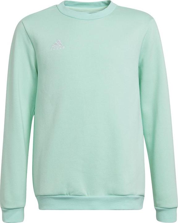 adidas Entrada 22 Sweatshirt Kinder