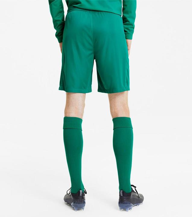 Image du produit Puma short en maille teamFINAL 21-704257 (L)