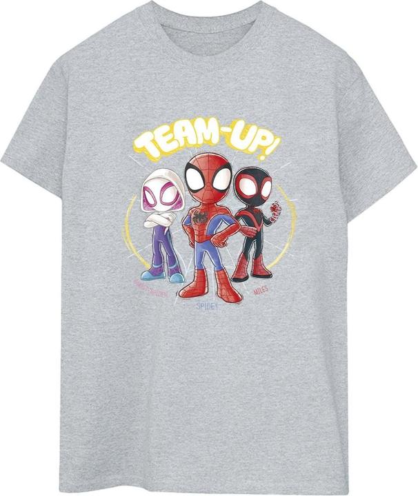 Produktbild Spidey And His Amazing Friends Sketch TShirt (5XL)