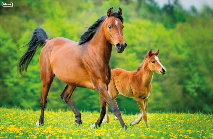 Actual product image Idena Desk Pad PP 58,5x38,5cm Horse