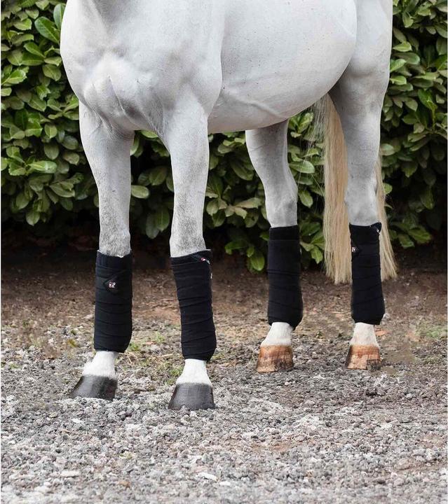 Immagine prodotto Premier Equine Set di 4 bande da polo per cavalli
