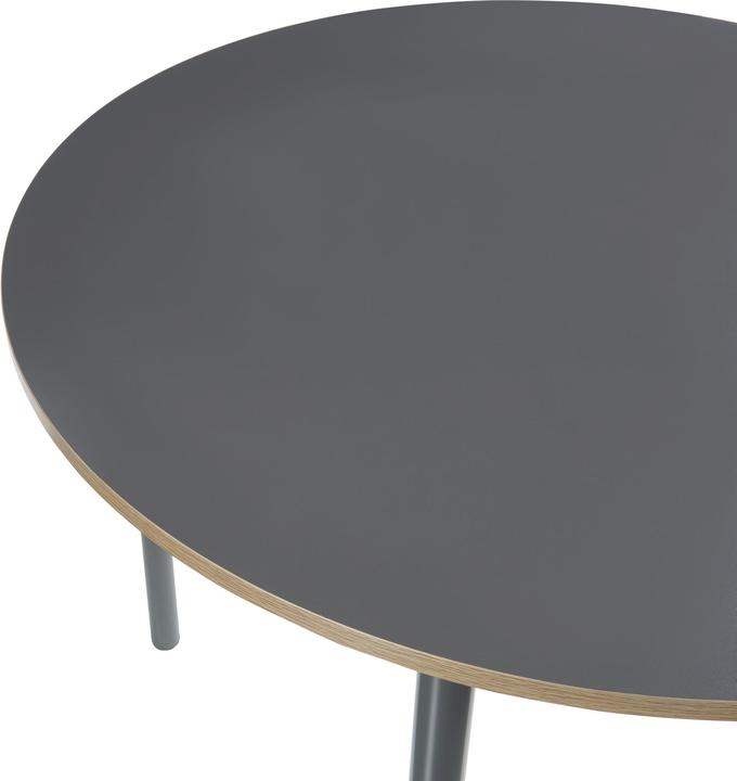 Image du produit En.Casa Table à manger Lindesberg pour 4 personnes Ø100 cm Gris (Ø 100 x 75 cm)
