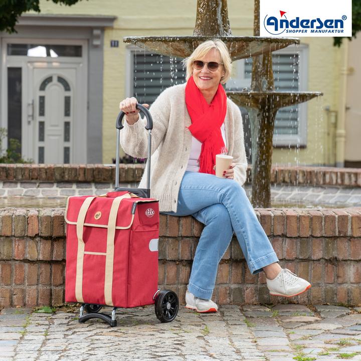 Produktbild Andersen Einkaufswagen Scala Ipek Mi Thermo