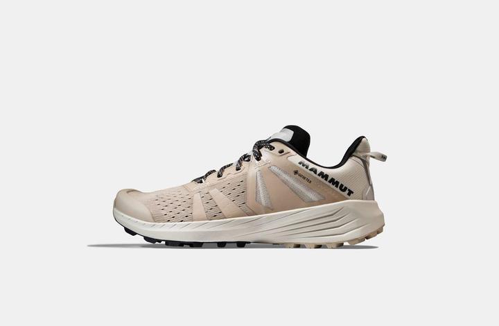 Image du produit Mammut Saentis TR Low GTX Women (40)