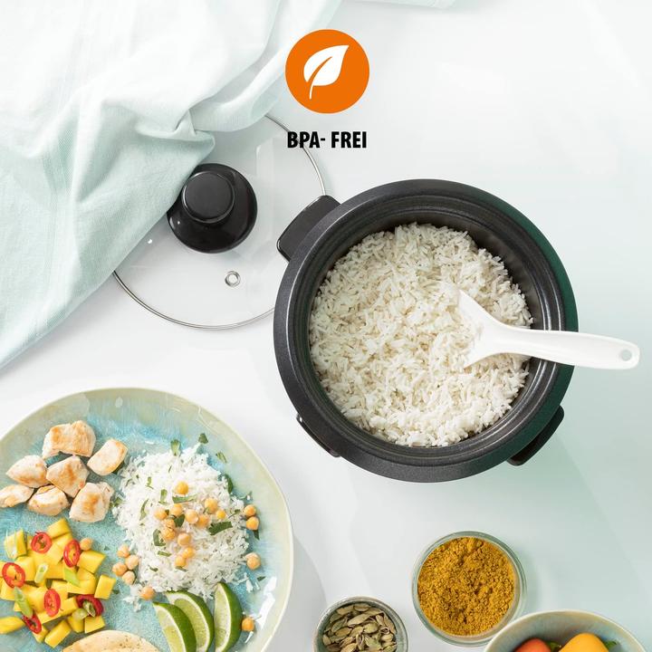 Actual product image Tristar Rk 6117