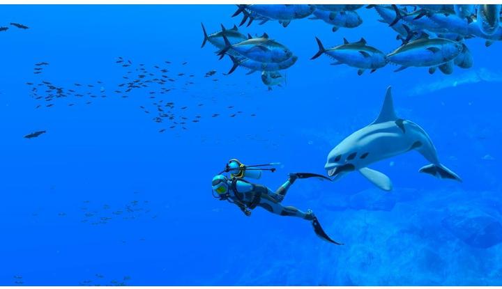 Actual product image Nintendo Endless Ocean Luminous (Switch, DE, IT, FR)
