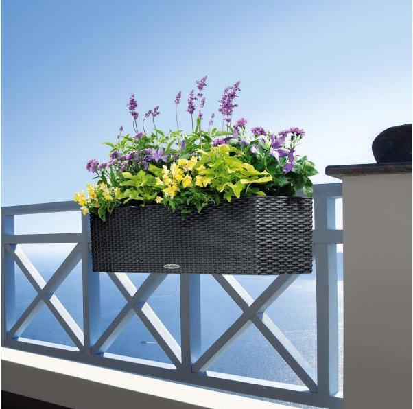 Immagine prodotto Lechuza Balconera Cottage (19 cm)