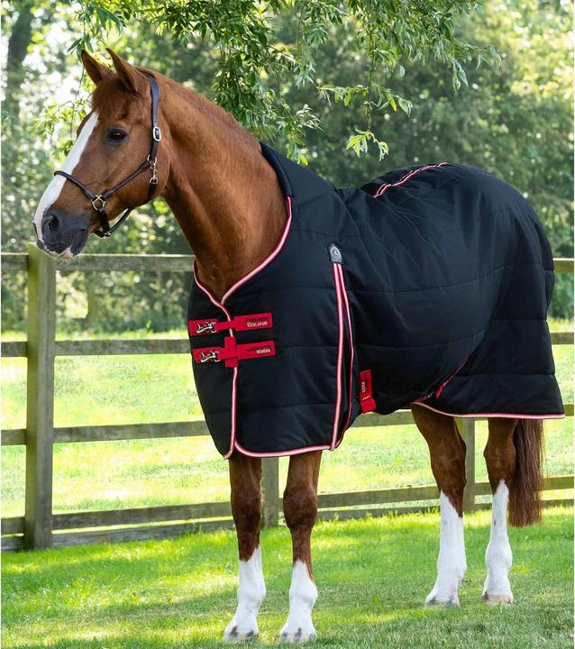 Image du produit Premier Equine Lucanta 200 g (198 cm)