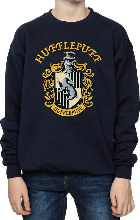 Actual product image Sweatshirt boys (116)