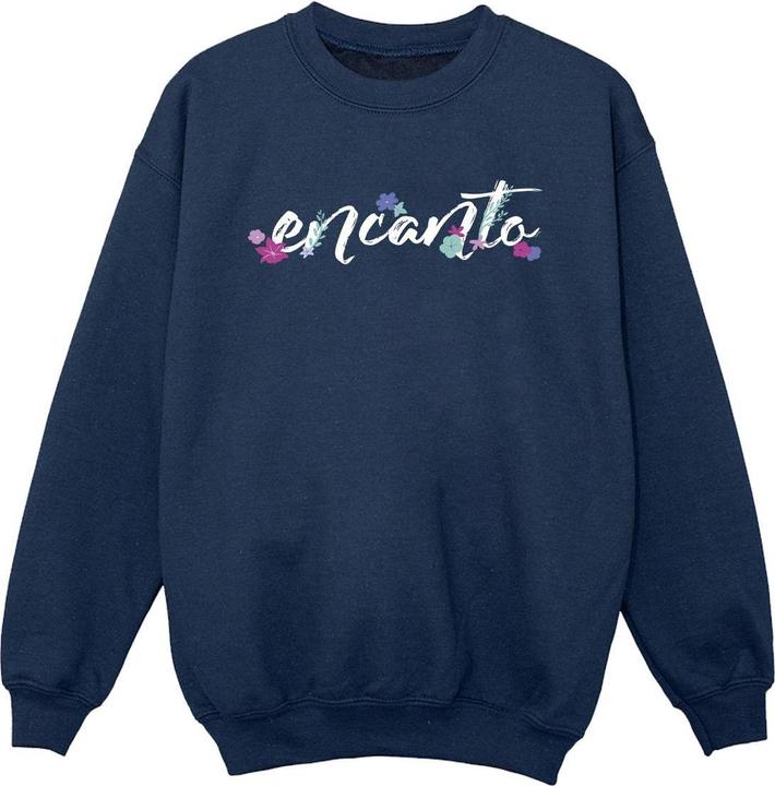 Actual product image Disney Boys Encanto Logo Sweatshirt (140, 146)