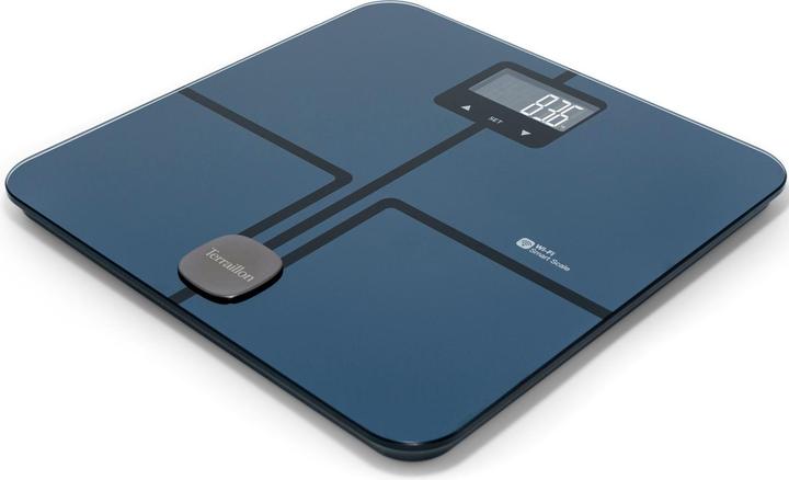 Image du produit Terraillon Master Coach Ultra (180 kg)