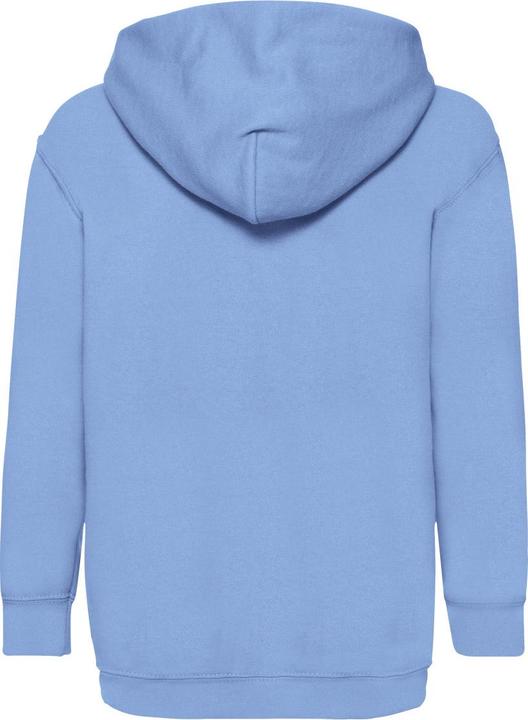 Actual product image Fruit of the Loom Childrens/Kids Classic Hooded Sweatshirt (152, 158)