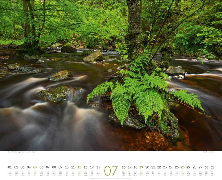 Actual product image Wald Kalender 2026 (54 x 48 cm, Hardcover, German, French, English)