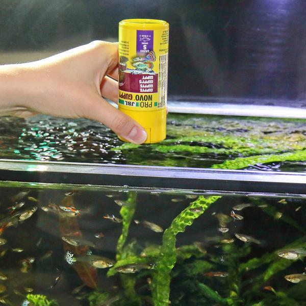 Image du produit JBL Aquaristik und Terraristik ProNovo GUPPY GRANO S 100ml CLICK (Guppies, 100 ml)