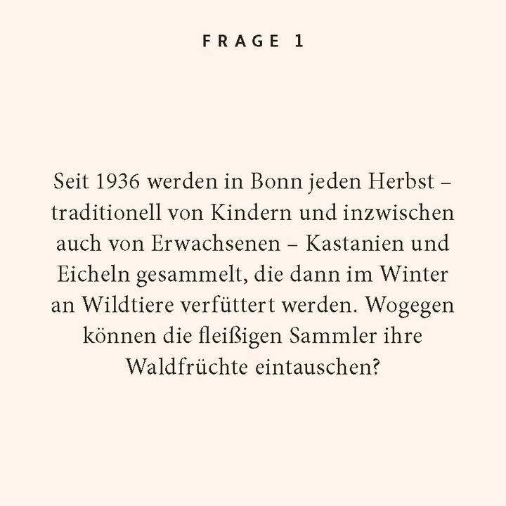 Produktbild Steingiesser:Bonn-Quiz (Deutsch)