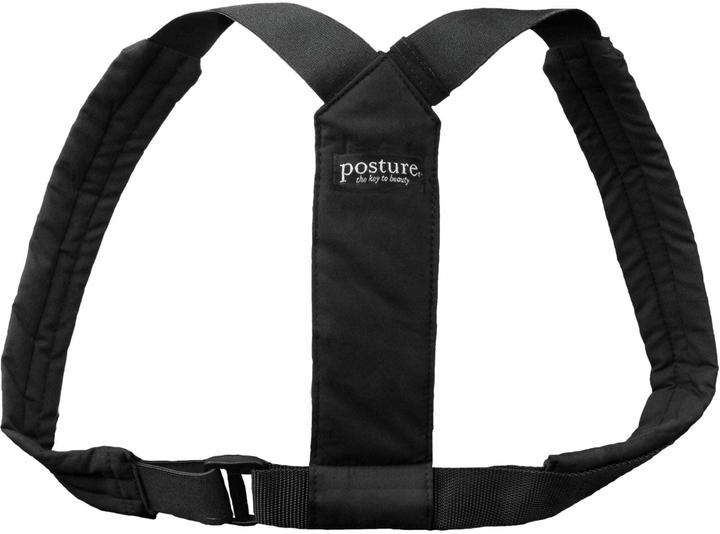 Immagine prodotto Swedish Posture Flexi