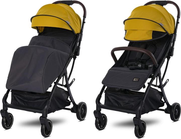 Produktbild Lorelli Kinderwagen Buggy Minori faltbar