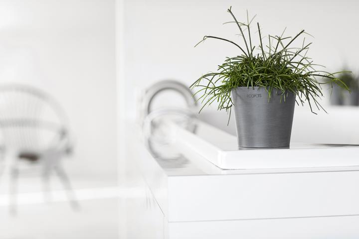 Immagine prodotto Ecopots Amsterdam Mini (13 cm)