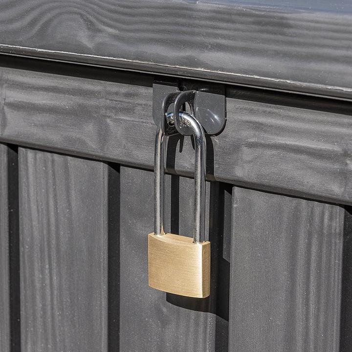 Actual product image ProPlus Padlock with long shackle
