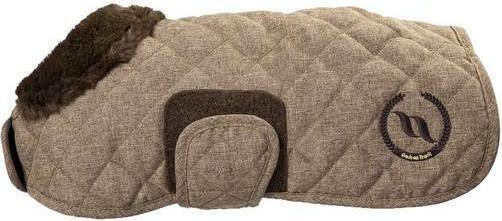 Actual product image Back on Track dog coat haze collection 58 (Dog coat)