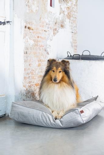 Produktbild Designed by Lotte Nalino (Hund)
