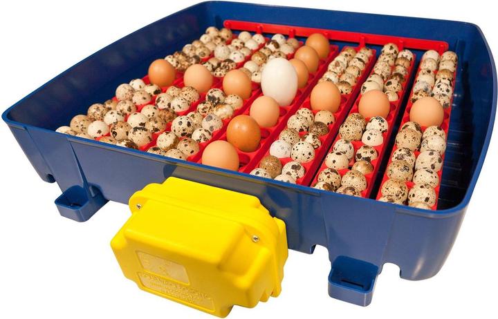 Image du produit APS Couveuse à oeufs entièrement automatique - 49 oeufs