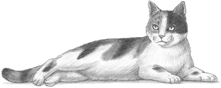 Immagine prodotto L'arte del disegno per i bambini - Io disegno gatti