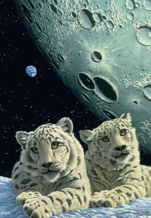 Produktbild Grafika Kids Schim Schimmel - Lair of the Snow Leopard (12 Teile)