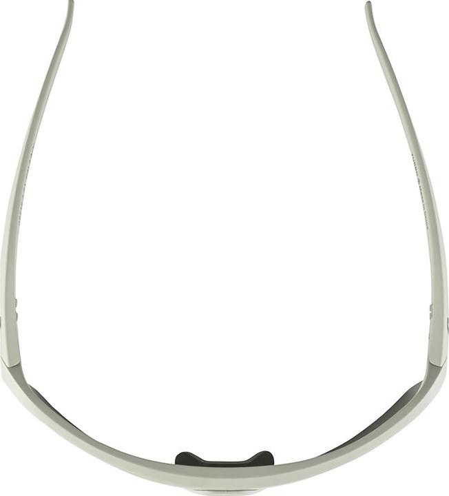 Image du produit ALPINA SPORTS Turbo Hr (Gris froid mat, Argent)