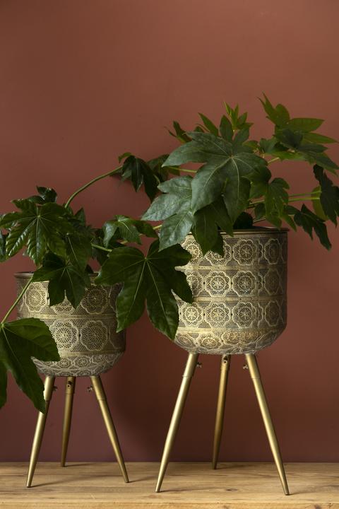 Image du produit Dutchbone Botanique (25.50 cm)