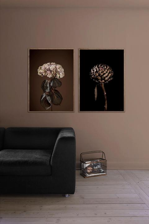 Immagine prodotto ChiCura Majestic (50 x 70 cm)