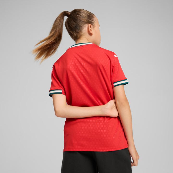 Image du produit Puma FPF Home Jersey Replica Jr (128)