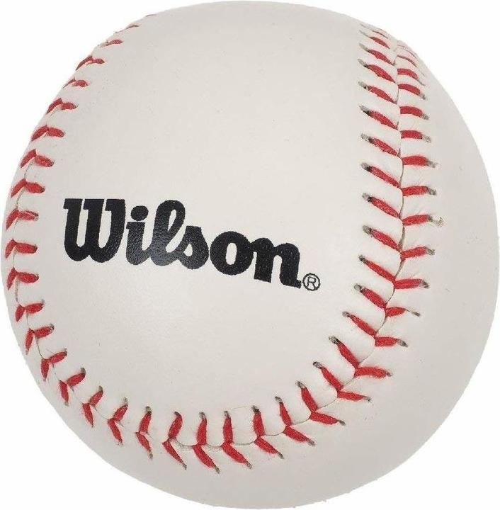 Actual product image Wilson Tea Ball Kit (24")