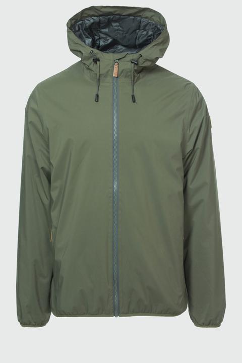 Edera Verde