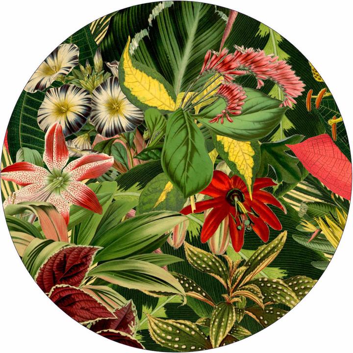 Image du produit Moooi Tapis Herbarium Of Extinct Plants (Rond)