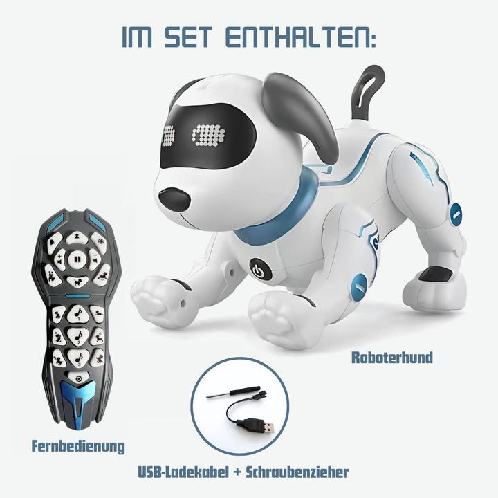 Produktbild Hermex Roboterhund